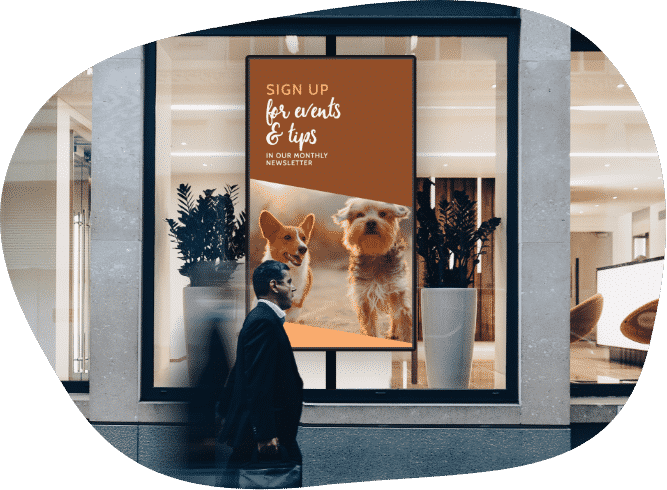Pet shop digital signage – 4 reasons to consider it