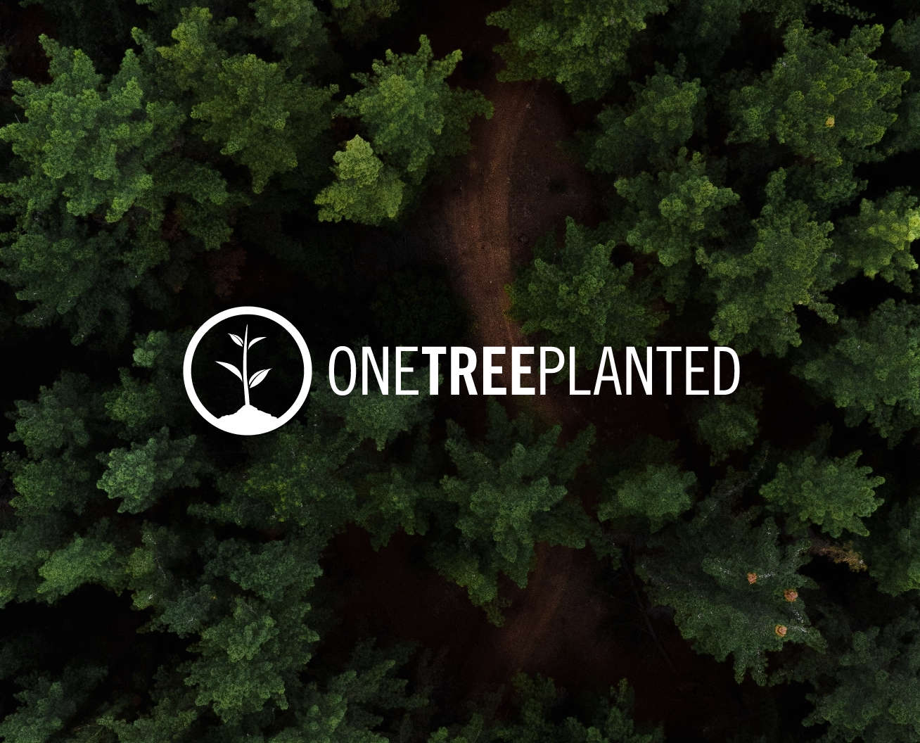 One-Tree-Planted-and-Mandoe
